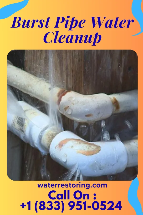 Burst Pipe Water Cleanup in Hooversville, PA