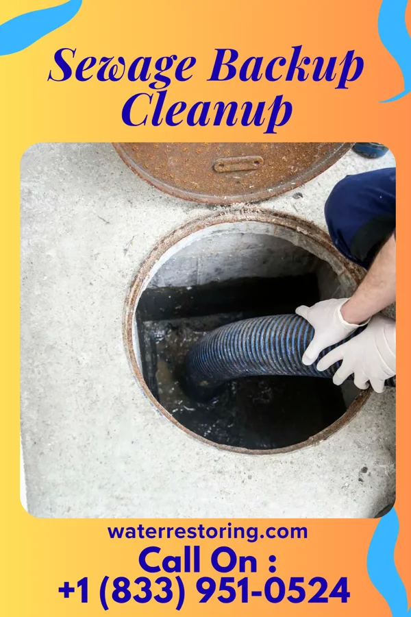Sewage Backup Cleanup in Hooversville, PA